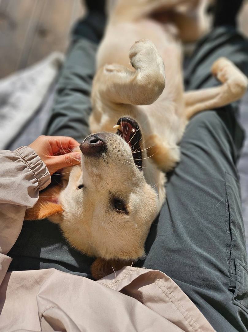 프린스