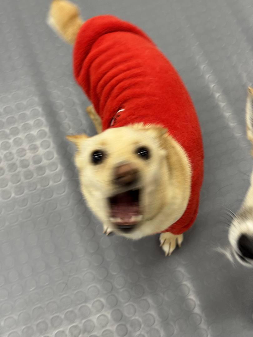 베이