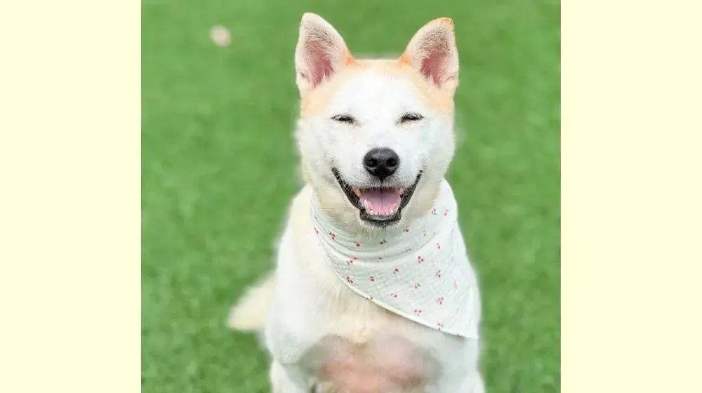 밀양) 무파사