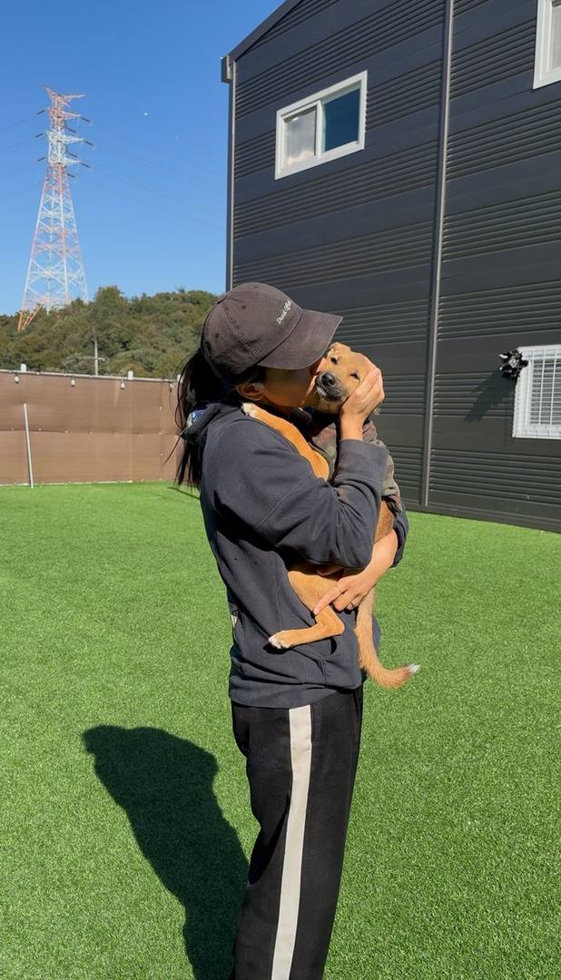 펄럭이