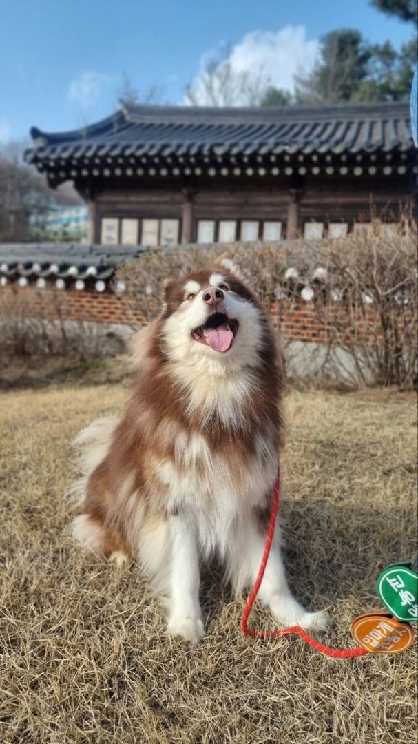 가을
