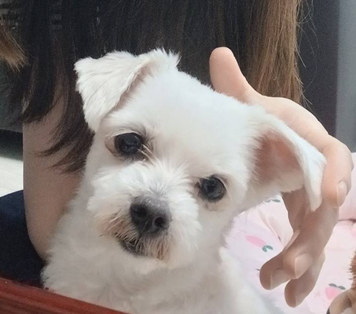 김포번식장)마리