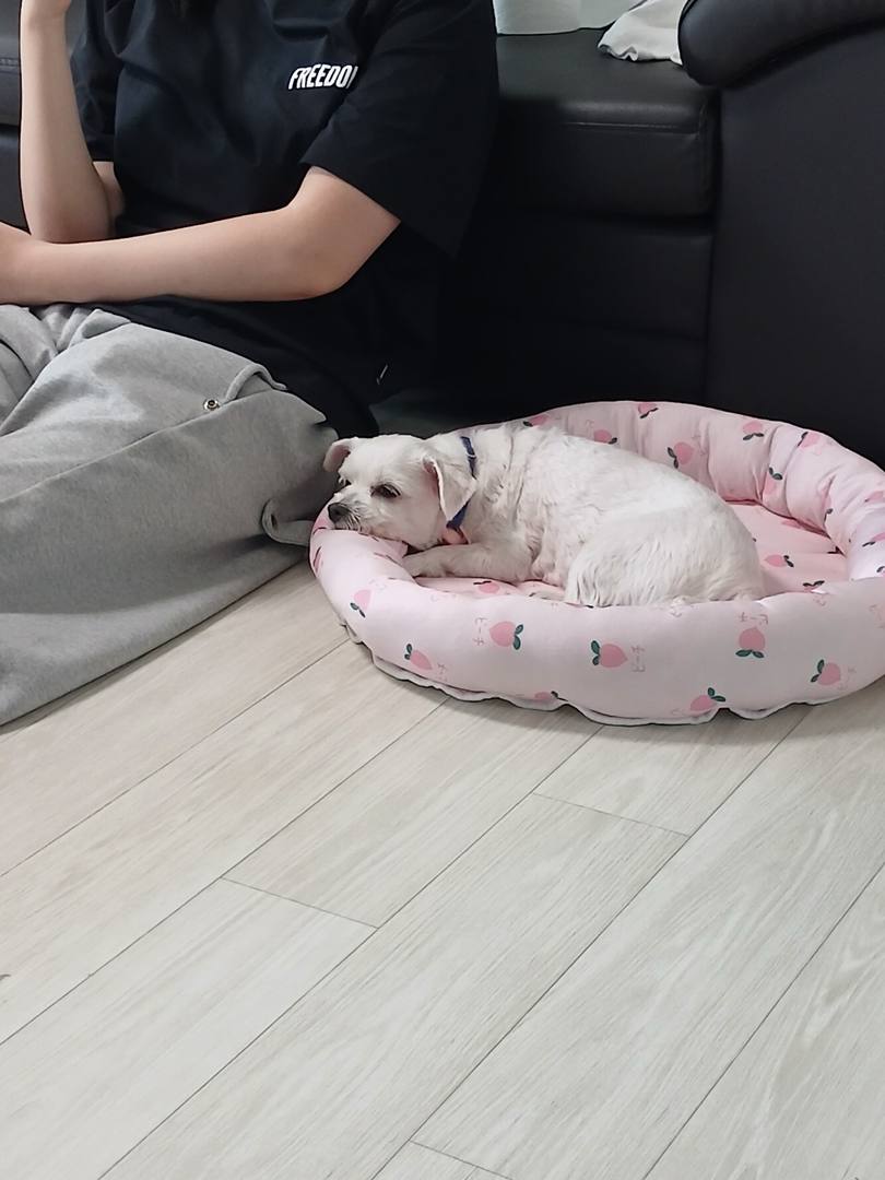 김포번식장)마리