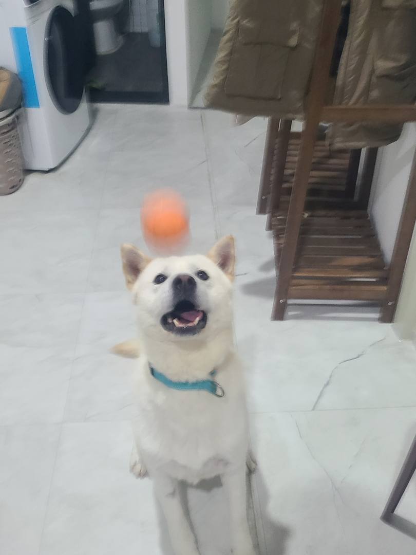 우제