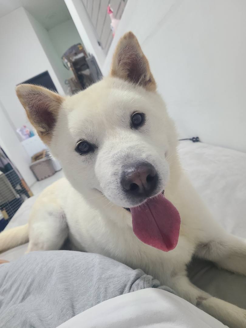 우제