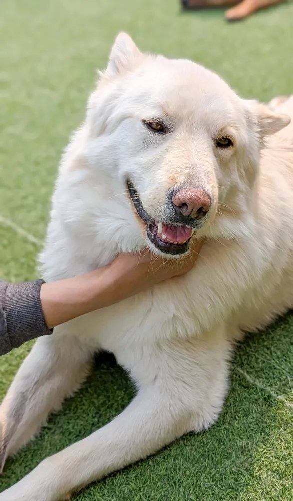 밀양) 블랑코