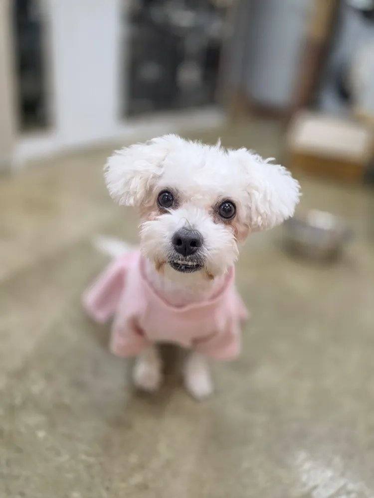 부안) 단비