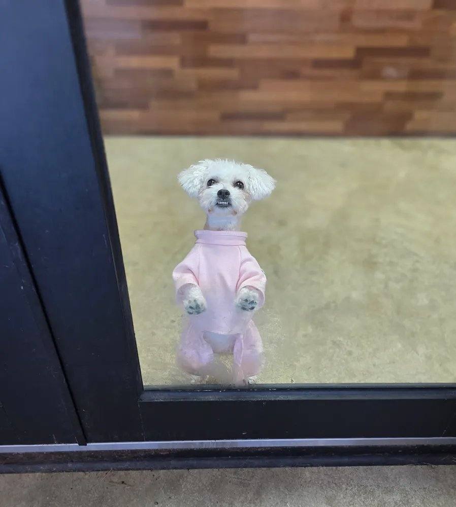 부안) 단비