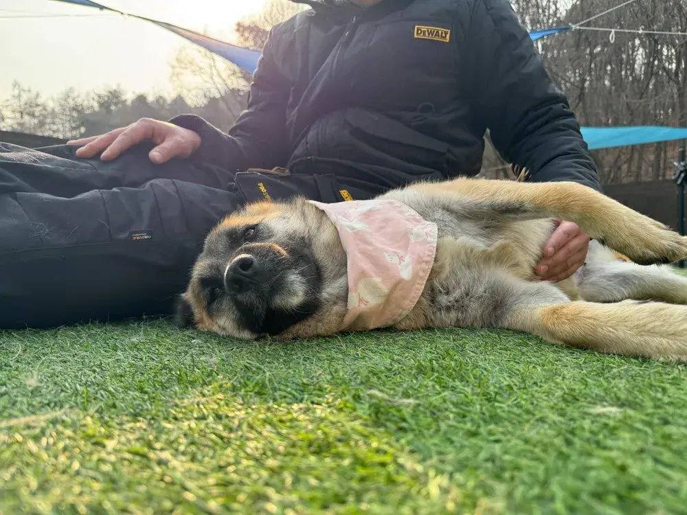 밀양) 젬마