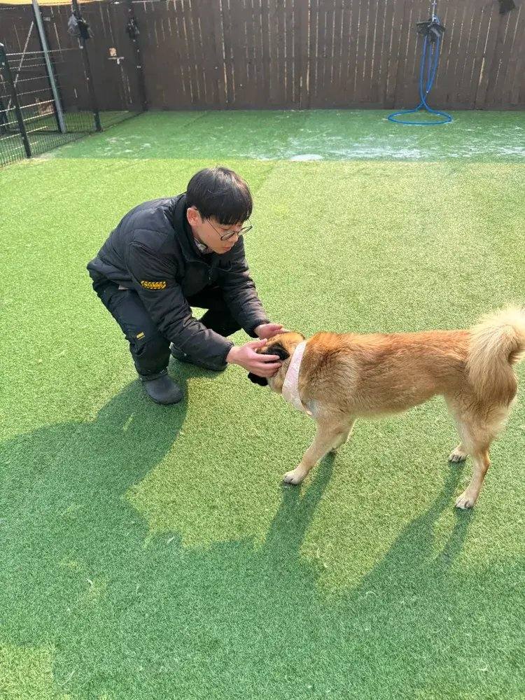 밀양) 젬마