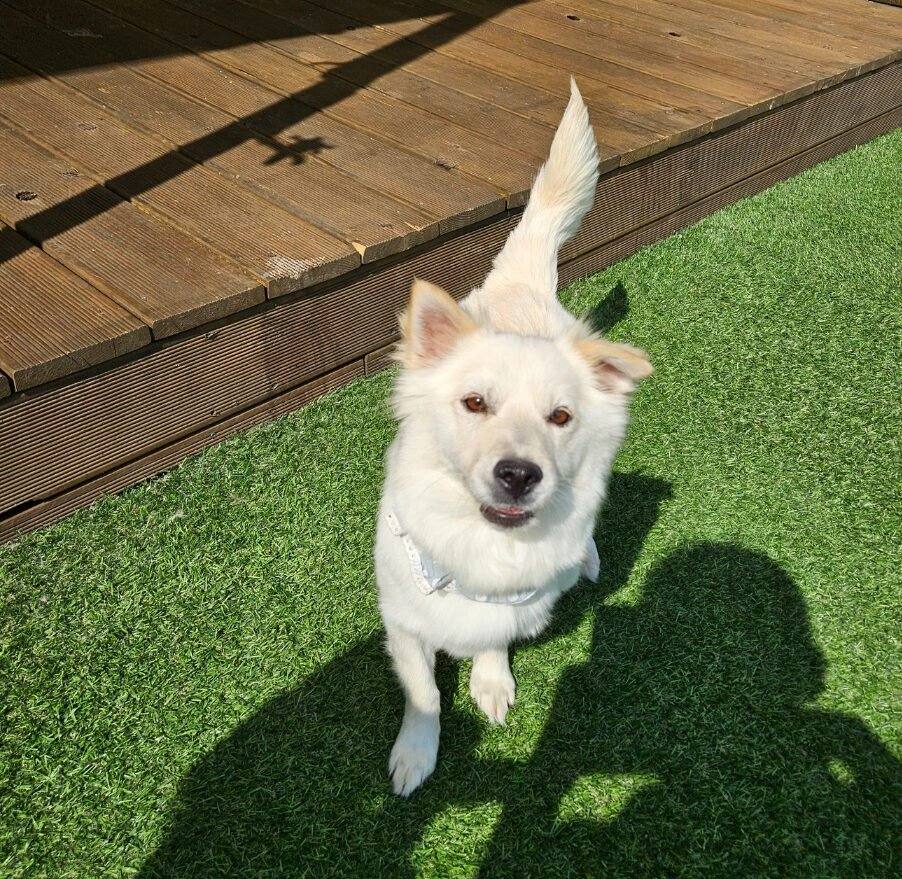 밀양) 달봉