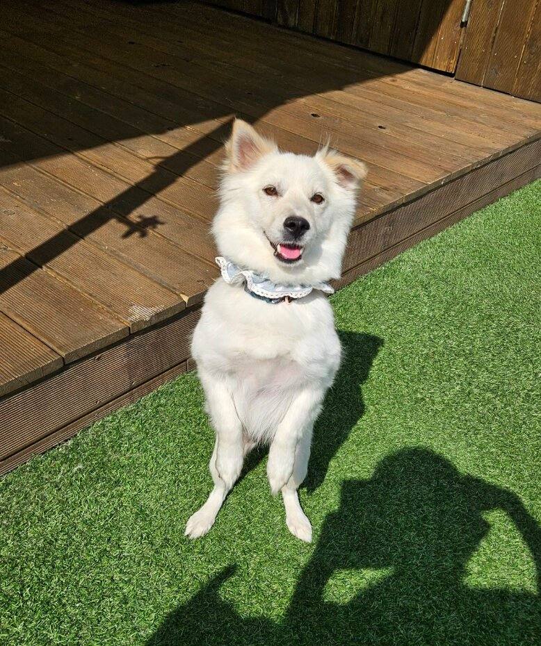 밀양) 달봉