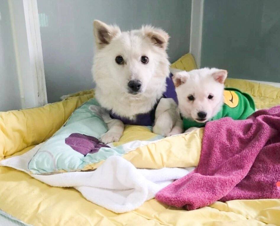 밀양) 달봉