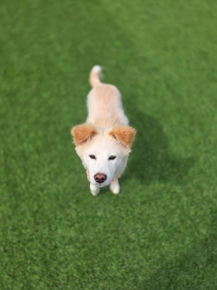 창원시보) 초원