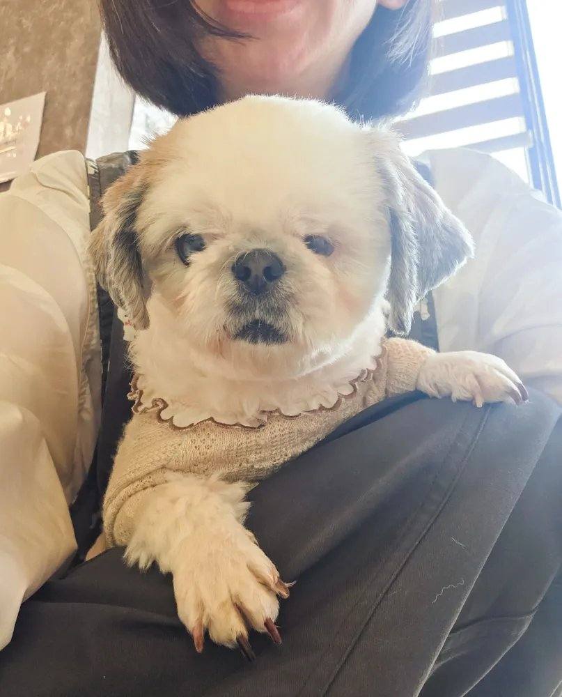달콤