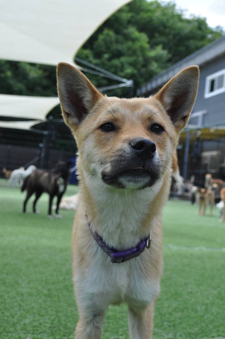 3.가보