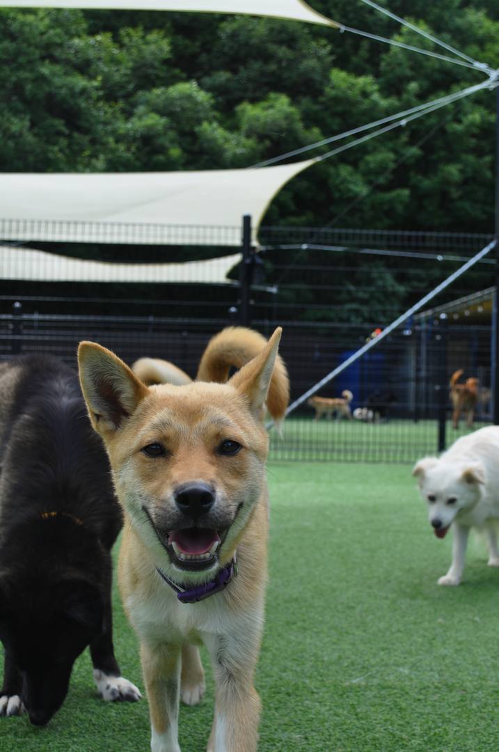 3.가보