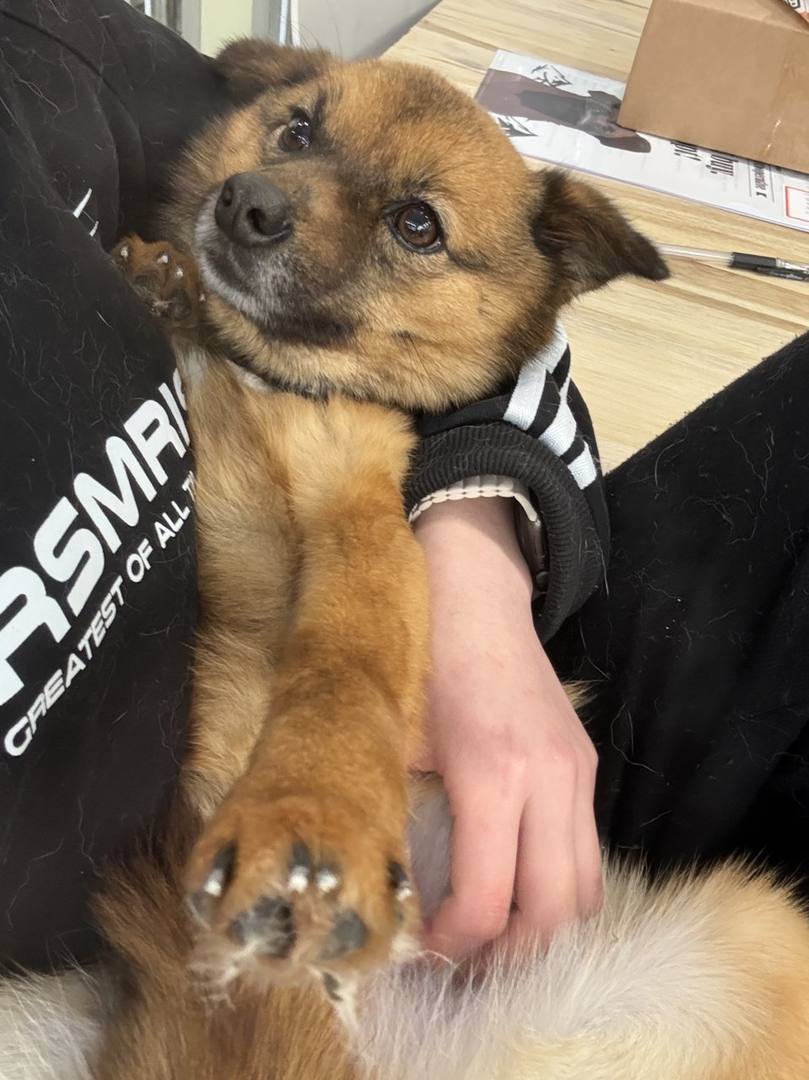 와라