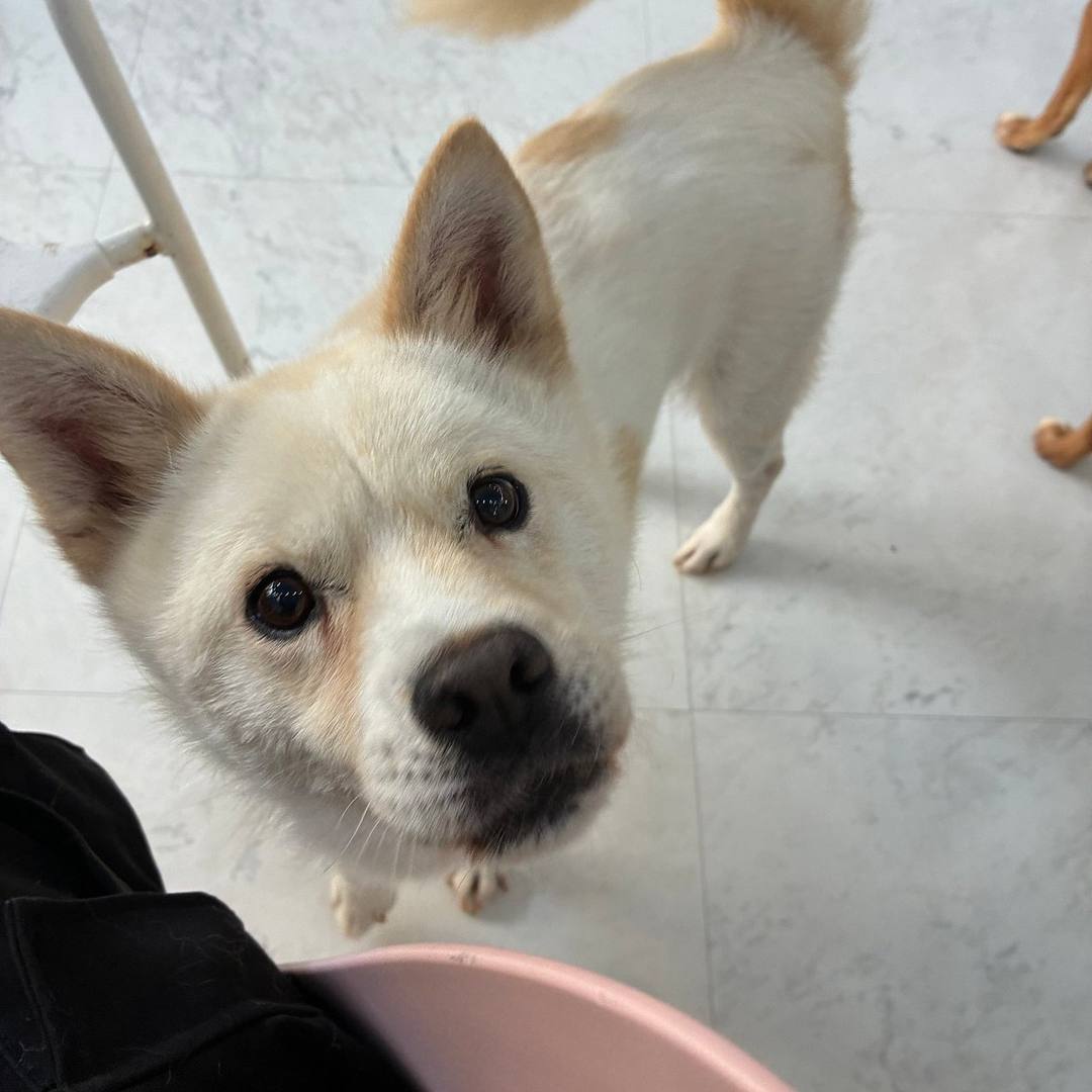 순탄